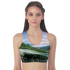 Field Of White Petaled Flowers Nature Landscape Fitness Sports Bra