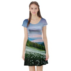 Field Of White Petaled Flowers Nature Landscape Short Sleeve Skater Dress