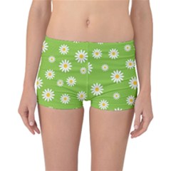 Daisy Flowers Floral Wallpaper Reversible Boyleg Bikini Bottoms