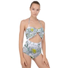 Thistle Alpine Flower Flower Plant Scallop Top Cut Out Swimsuit by Modalart