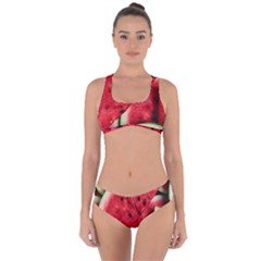 Watermelon Fruit Green Red Criss Cross Bikini Set by Bedest