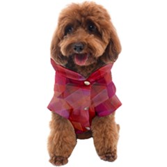 Abstract Background Texture Pattern Dog Coat