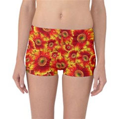 Gerbera Flowers Blossom Bloom Reversible Boyleg Bikini Bottoms by Amaryn4rt