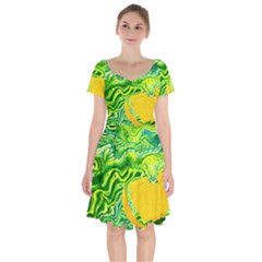 Zitro Abstract Sour Texture Food Short Sleeve Bardot Dress by Amaryn4rt