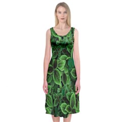 Shanghai Botanical Garden Midi Sleeveless Dress by Pakjumat