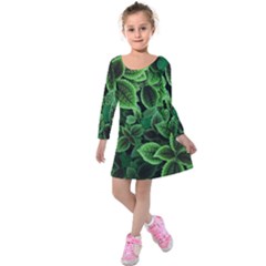 Shanghai Botanical Garden Kids  Long Sleeve Velvet Dress by Pakjumat