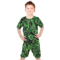 Shanghai Botanical Garden Kids  T-shirt And Shorts Set by Pakjumat