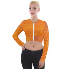 Orange Mosaic Structure Background Long Sleeve Cropped Velvet Jacket