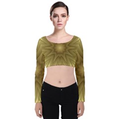 Background Pattern Golden Yellow Velvet Long Sleeve Crop Top by Hannah976