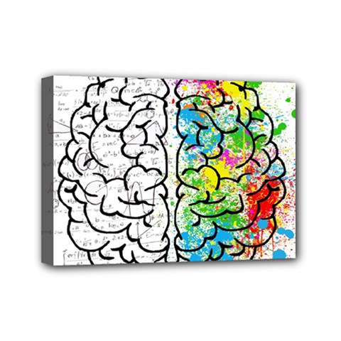 Brain Mind Psychology Idea Drawing Mini Canvas 7  x 5  (Stretched)