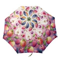 Fruits Apple Strawberry Raspberry Folding Umbrellas