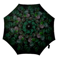 Dark Nature , Nature, Edeg Hook Handle Umbrellas (Small)