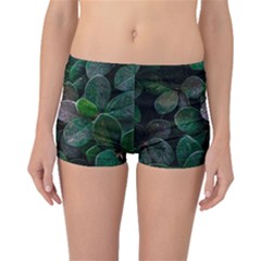 Dark Nature , Nature, Edeg Boyleg Bikini Bottoms