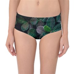 Dark Nature , Nature, Edeg Mid-Waist Bikini Bottoms