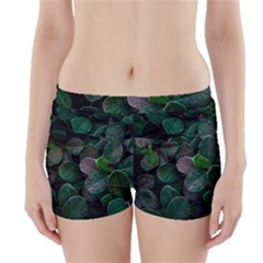 Dark Nature , Nature, Edeg Boyleg Bikini Wrap Bottoms