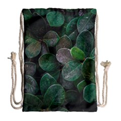 Dark Nature , Nature, Edeg Drawstring Bag (Large)