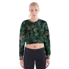 Dark Nature , Nature, Edeg Cropped Sweatshirt