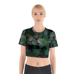 Dark Nature , Nature, Edeg Cotton Crop Top by nateshop