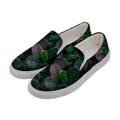 Dark Nature , Nature, Edeg Women s Canvas Slip Ons by nateshop