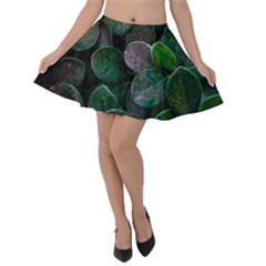 Dark Nature , Nature, Edeg Velvet Skater Skirt by nateshop