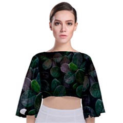 Dark Nature , Nature, Edeg Tie Back Butterfly Sleeve Chiffon Top by nateshop