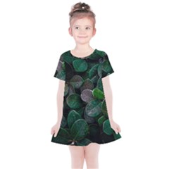 Dark Nature , Nature, Edeg Kids  Simple Cotton Dress