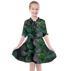 Dark Nature , Nature, Edeg Kids  All Frills Chiffon Dress