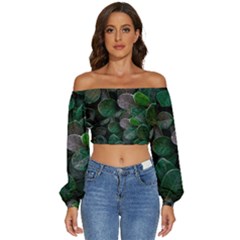 Dark Nature , Nature, Edeg Long Sleeve Crinkled Weave Crop Top