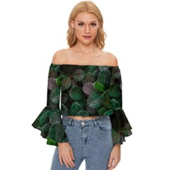 Dark Nature , Nature, Edeg Off Shoulder Flutter Bell Sleeve Top by nateshop