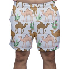 Camels Cactus Desert Pattern Men s Shorts