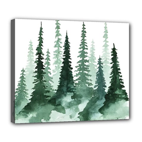 Tree Watercolor Painting Pine Forest Deluxe Canvas 24  x 20  (Stretched)