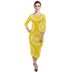 Lemon Fruits Slice Seamless Pattern Quarter Sleeve Midi Velour Bodycon Dress by Ravend