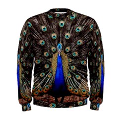 Peacock Men s Sweatshirt by Ket1n9