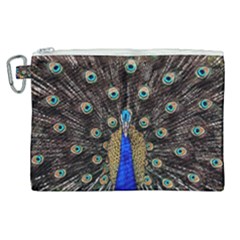 Peacock Canvas Cosmetic Bag (xl) by Ket1n9