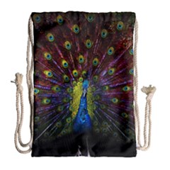 Beautiful Peacock Feather Drawstring Bag (large) by Ket1n9