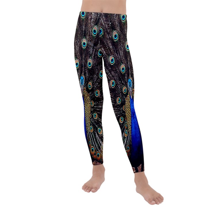 Peacock Kids  Lightweight Velour Leggings