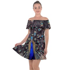 Peacock Off Shoulder Velour Dress by Ket1n9