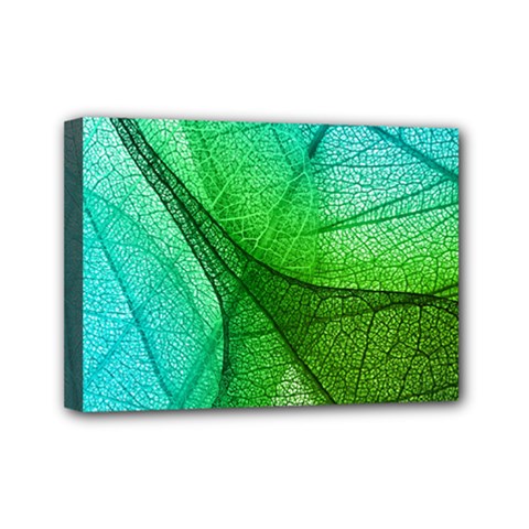 Sunlight Filtering Through Transparent Leaves Green Blue Mini Canvas 7  X 5  (stretched) by Ket1n9