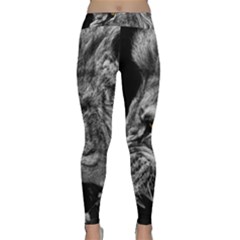 Angry Male Lion Roar Wild Animal Classic Yoga Leggings by Cendanart