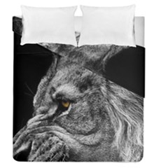 Angry Male Lion Roar Wild Animal Duvet Cover Double Side (queen Size) by Cendanart