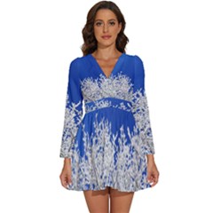 Crown Aesthetic Branches Hoarfrost Long Sleeve V-neck Chiffon Dress  by Ket1n9