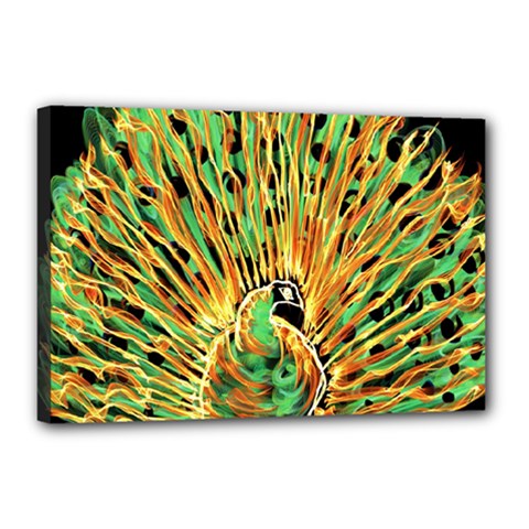 Unusual Peacock Drawn With Flame Lines Canvas 18  X 12  (stretched) by Ket1n9