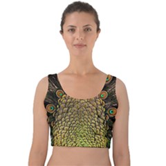 Peacock Feathers Wheel Plumage Velvet Crop Top by Ket1n9