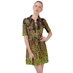 Peacock Feathers Wheel Plumage Belted Shirt Dress by Ket1n9