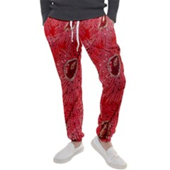 Red Peacock Floral Embroidered Long Qipao Traditional Chinese Cheongsam Mandarin Men s Jogger Sweatpants