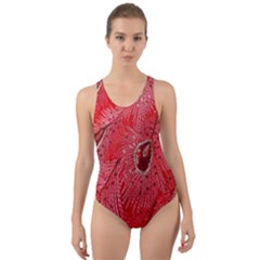 Red Peacock Floral Embroidered Long Qipao Traditional Chinese Cheongsam Mandarin Cut-Out Back One Piece Swimsuit