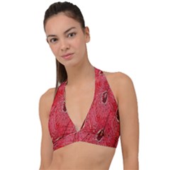 Red Peacock Floral Embroidered Long Qipao Traditional Chinese Cheongsam Mandarin Halter Plunge Bikini Top