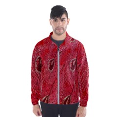Red Peacock Floral Embroidered Long Qipao Traditional Chinese Cheongsam Mandarin Men s Windbreaker