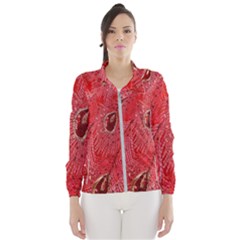 Red Peacock Floral Embroidered Long Qipao Traditional Chinese Cheongsam Mandarin Women s Windbreaker