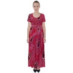 Red Peacock Floral Embroidered Long Qipao Traditional Chinese Cheongsam Mandarin High Waist Short Sleeve Maxi Dress by Ket1n9
